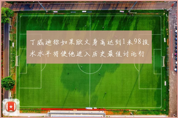 丁威迪称如果欧文身高达到1米98技术水平将使他进入历史最佳讨论行列